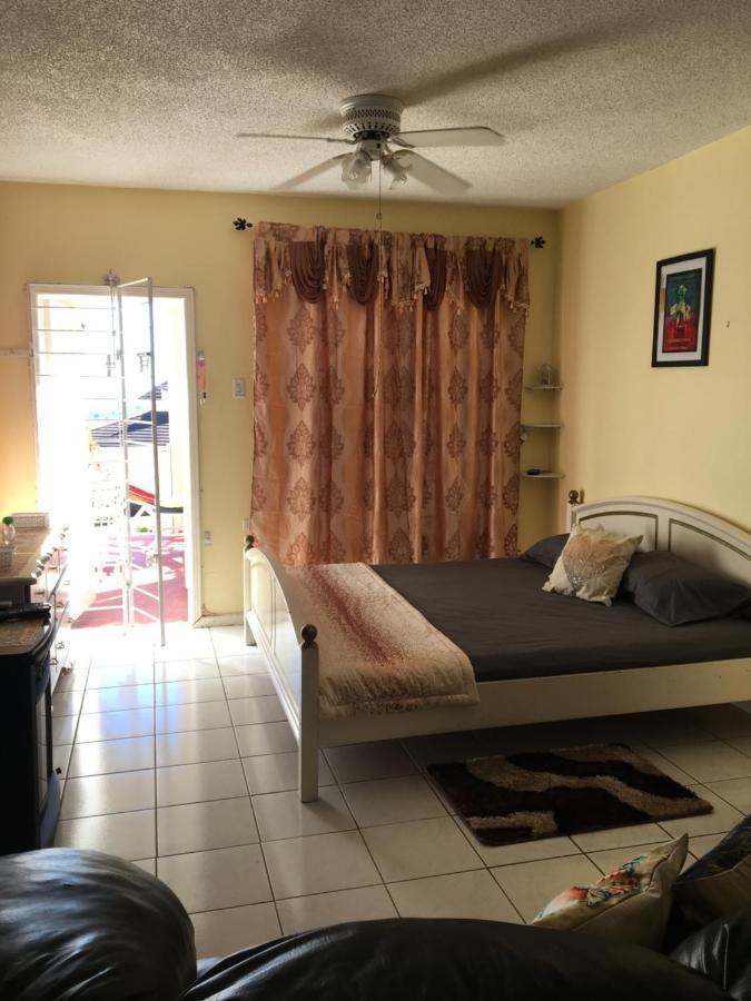 #D1 Castle Studio Wifi King Bed Ocho Rios Jamaica Eksteriør bilde