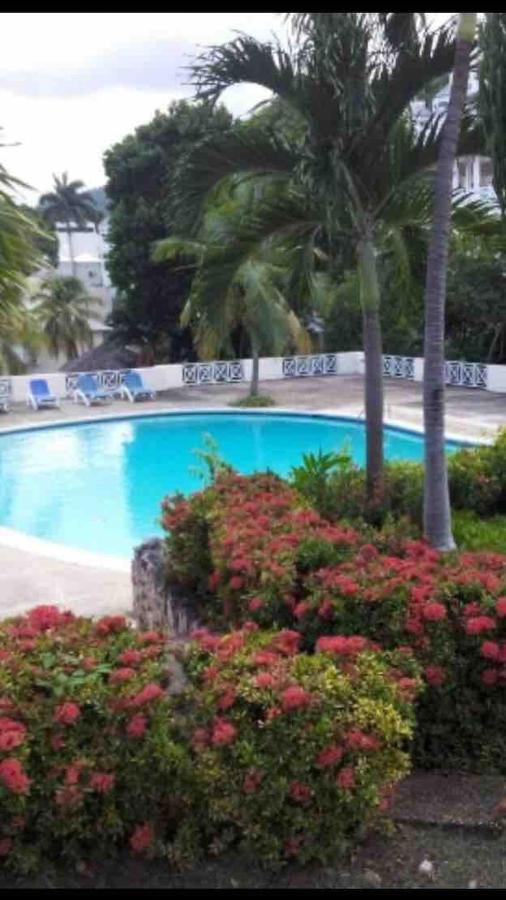 #D1 Castle Studio Wifi King Bed Ocho Rios Jamaica Eksteriør bilde