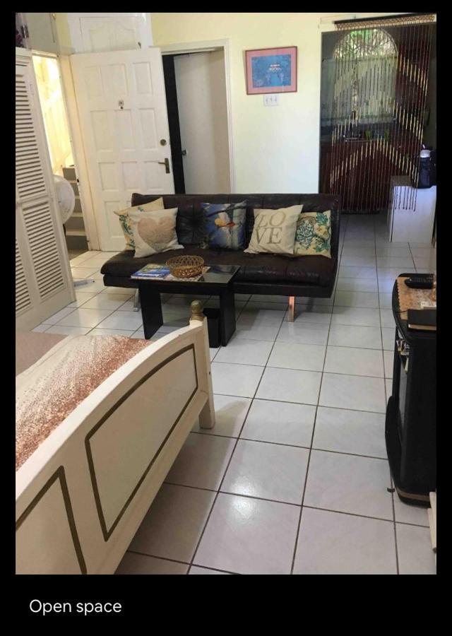 #D1 Castle Studio Wifi King Bed Ocho Rios Jamaica Eksteriør bilde